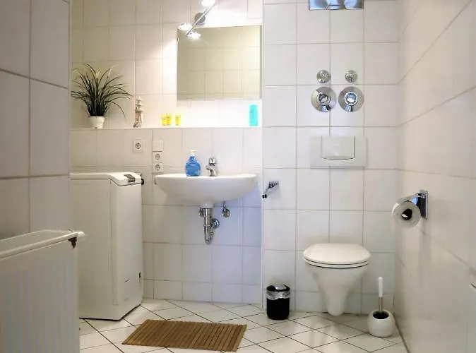 Exklusive Mit Dachterrasse In Schleussig