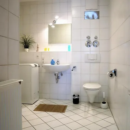 Exklusive Mit Dachterrasse In Schleussig