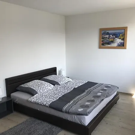 Exklusive Mit Dachterrasse In Schleussig *